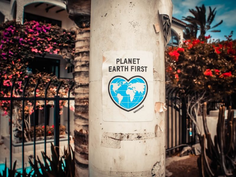 photo of a poster glued to a concrete pillar on the street. The poster says 'Planet Earth First'